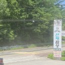 곤드레산채밥 | [포천/고모리] 자극적이지 않은 정직한 건강식, '효담곤드레산채밥상' 후기