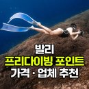 대양여행사 | 발리 여행 프리다이빙 가격 비용 스노클링 포인트 업체 추천 고고다이브