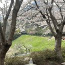 무라카데칼국수 이미지