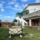 스테이 댕댕 이미지