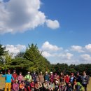 분당-384 이미지