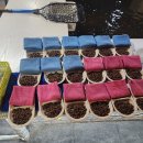 얼빵실내 낚시터 이미지