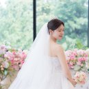 L컴퍼니엘 | [Wd. 13] 웨딩컴퍼니엘 '클라라드레스 대전점' 본식 피팅후기