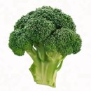 약사체육관 | 녹황색사회 아시아투어 2025 토요일 후기