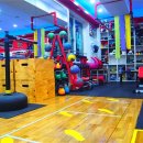 삼성복싱클럽 이미지