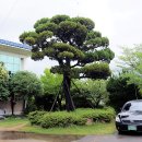 봉림동행정복지센터 이미지