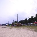 죽도해수욕장 야영장 이미지