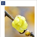 노안초등학교 이미지