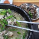 스테이아호이 이미지