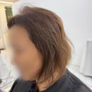 살롱디데이