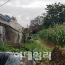 영산강대상공원2 이미지