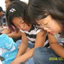 감문초등학교 이미지