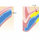 리에스여성의원 이미지