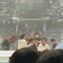 청춘 ON.1 빈센트블루 | 마이데이가 되(벚꽃콘, 서경대 축제, 서재페 후기)🍋🍀