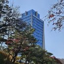 멤버스클럽 | 반얀트리 서울 클럽 멤버스 레스토랑 후기