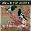 정각사 - 909 | 정각사