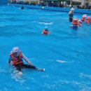 로만바스 수영장 이미지