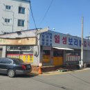 일성모터스 이미지