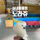 수피아관광농원 | 충남 아이와 가볼만한곳 list