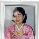 백세백년사진 네이버블로그