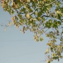 어떤하루 이미지