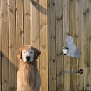 쿨스타스 이미지