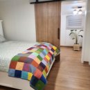 스테이 릴리 이미지