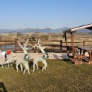 마루아라 하우스 이미지