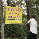 수원 다람쥐 수원시민신문