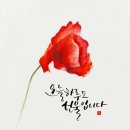 수채캘리그라피 오후반 이미지