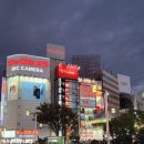청룡아크릴 | 도쿄 가볼만한곳 세카이도 신주쿠본점부터 가부키초 거리 고질라 헤드까지 둘러본 후기