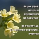 오늘의 날씨 (2월 27일 목요일) 입영 18일차 이미지