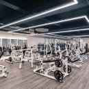 다빈치짐 에르소필라테스 이미지