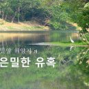 ♣[경남/밀양] 위양지의 은밀한 유혹 이미지