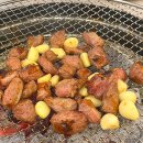 오산 고기집 갈매기살 특수부위 맛집 민들레화로 후기