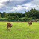 통나무파크 이미지