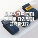 내 몸을 깨우는 홈트레이닝 | 뻣뻣했던 내가 다리찢기 성공?! 발란스코드 코미 후기 대공개!