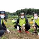 당동2리 이미지