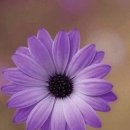 수산시장회집