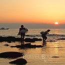 트렌드나우