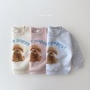 퍼피베베 이미지