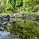 성황림마을 이미지