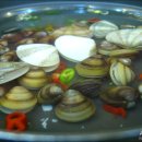 동아수산 이미지