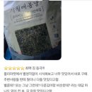 시월애봄날 이미지