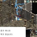 홍가