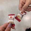 대현노동조합 | 8개월이 호롤ㄹ롤로 사라졌어요 - 1