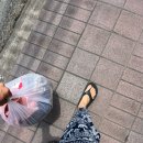 244 | 치앙마이 AT244 Laundry 빨래방 후기 겸 추천!