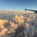 땅꼬마김밥 - 목포시 영산로 653 | 🇰🇿 에어아스타나 후기✈️ & 누르술탄 국제공항 사파르sapar라운지 후기🛄