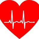 제주우리동물병원 이미지