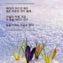 (주)한결여행 이미지